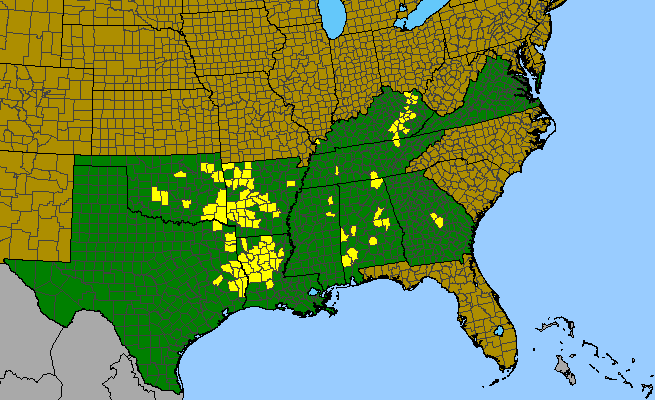 The range of Cypripedium kentuckiense